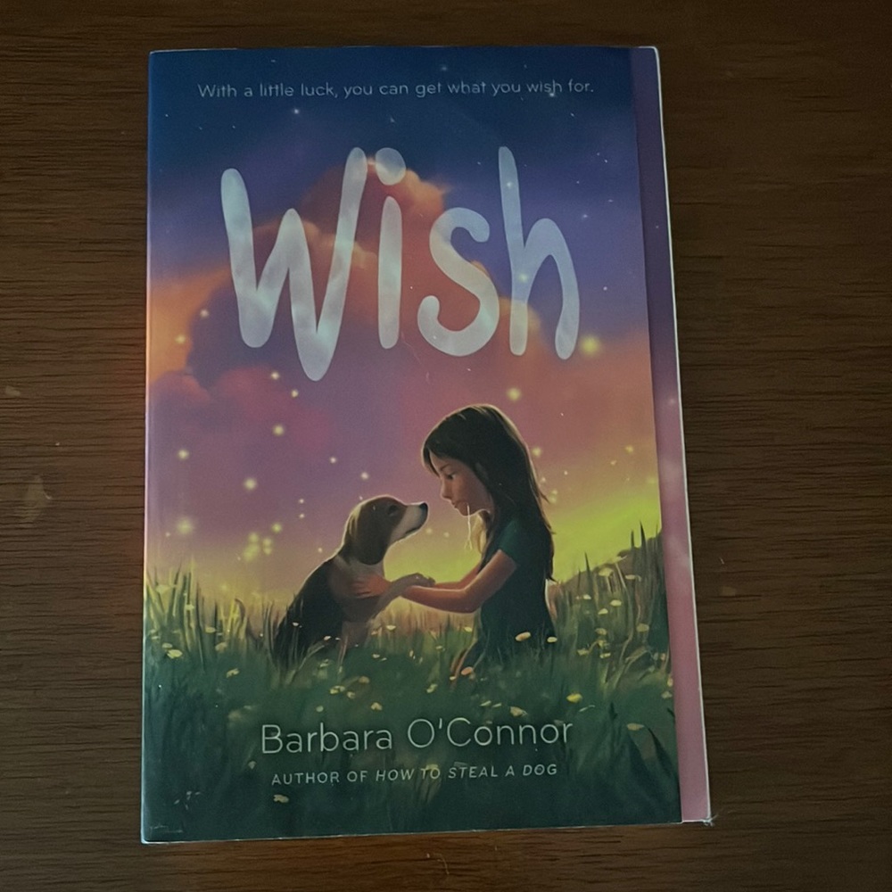 wish book
